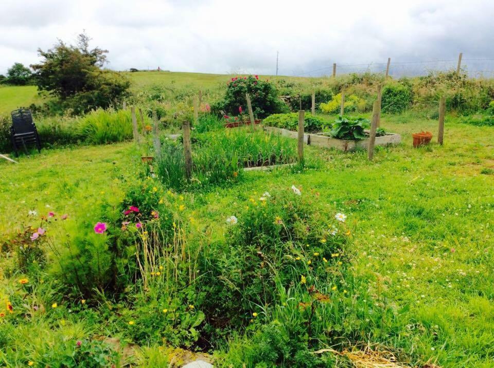 Bed and Breakfast Holland House Ballyshannon Exteriér fotografie